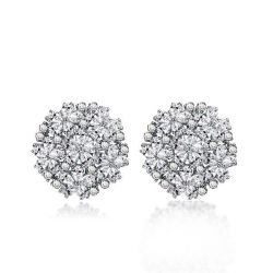 Womens Fashion Earrings
